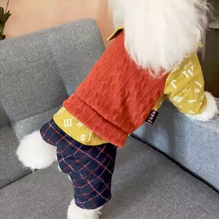 ブランド クリスチャン ルブタン/Christian Louboutin   ペット用品	